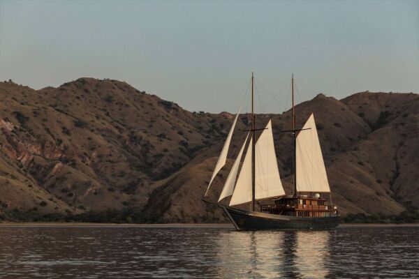 Voilier de luxe VELA