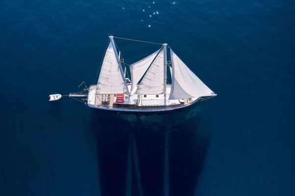 Goélette & Voilier à moteur WHITE PEARL