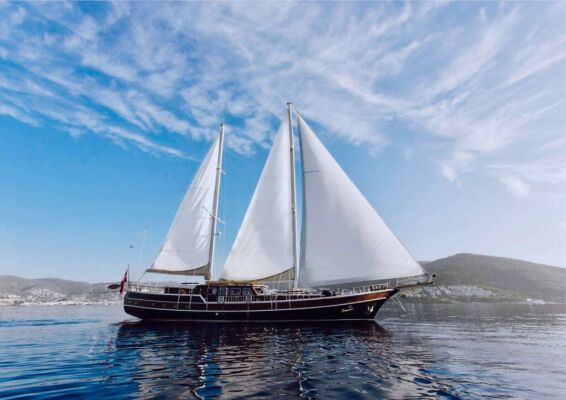 Goélette & Voilier à moteur SERENAD