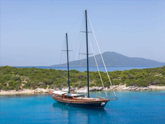 Goleta & Motovelero PERFORMANCE FEE