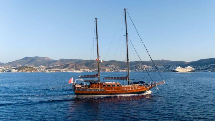 Goélette & Voilier à moteur CAPRICORN 1