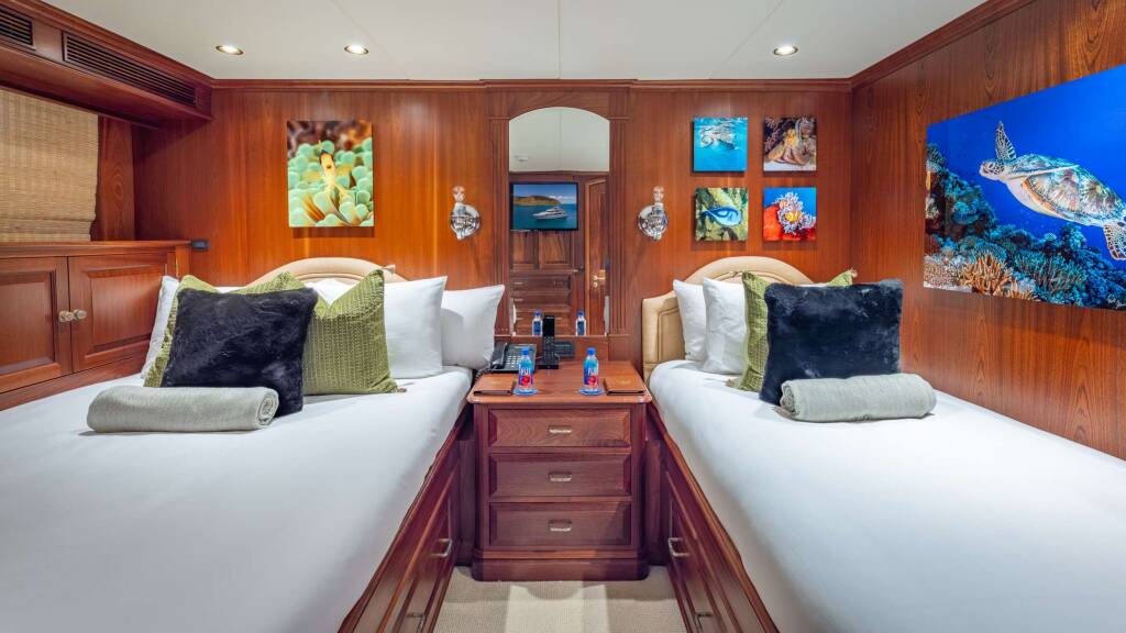 Luxury motor yacht KING OF FUN