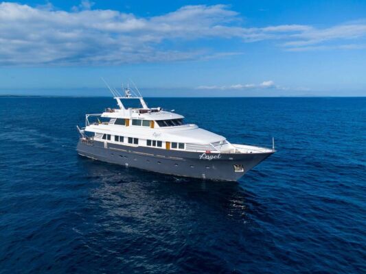 Kleines Kreuzfahrtschiff Galapagos Angel