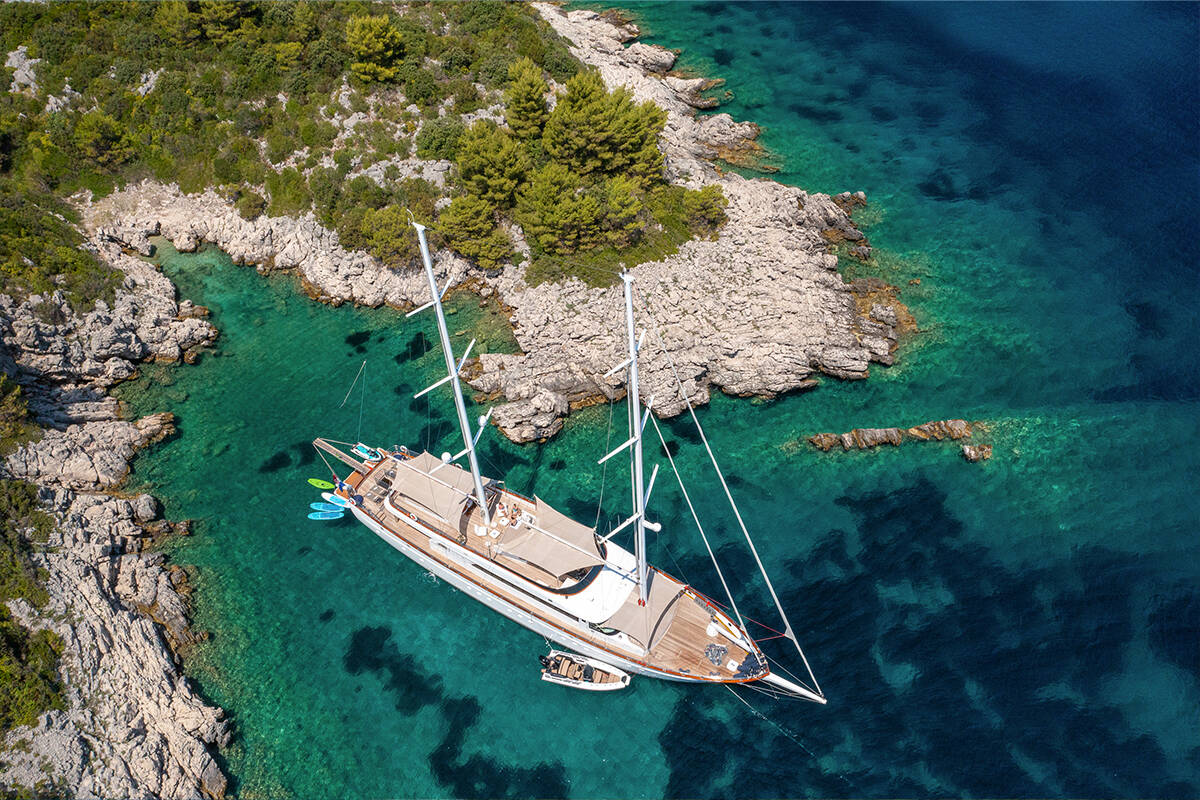 Pendant votre charter